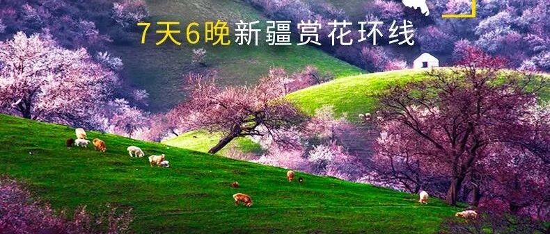 【梦幻西域】乌鲁木齐+坎儿井+库木塔格沙漠+火焰山+伊利杏花沟+大西沟杏花+果子沟大桥+赛里木湖+独山子大峡谷+网红玛纳