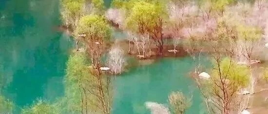 左手甘南、右手川西，有个叫陇南地方融合了两者精华。