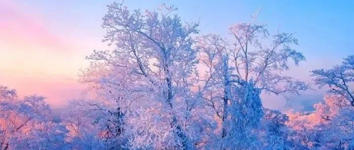 东北的第一场雪美上热搜，惊呆整个朋友圈