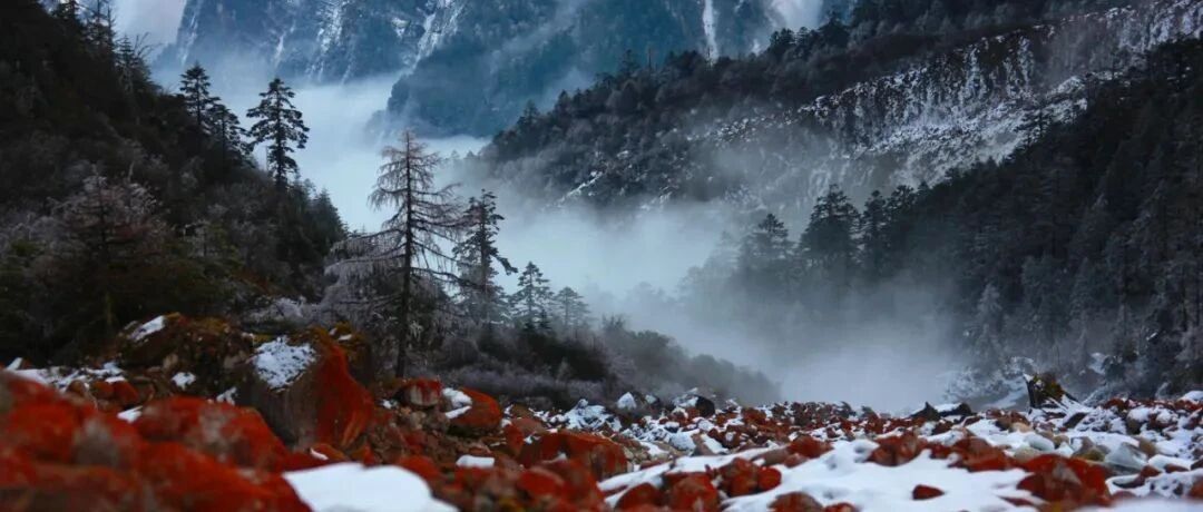 川西的雪，梦幻般的美！