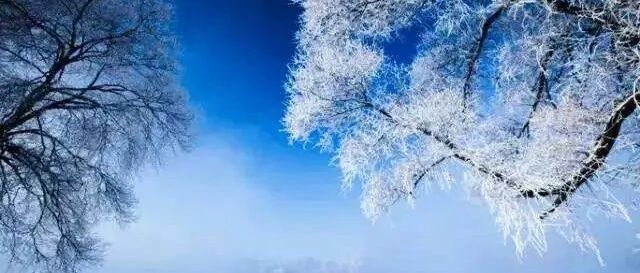 一旦看过冬天的长白山，其他地方都成了将就！