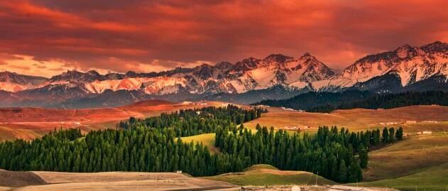 走遍了大半个中国，唯独只有新疆可以将21种东西完美结合！