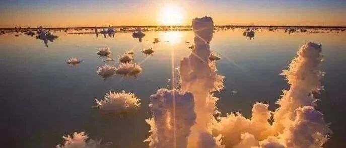 新疆的盐湖竟然会“开花”，这绝对是你从未见过的美景。