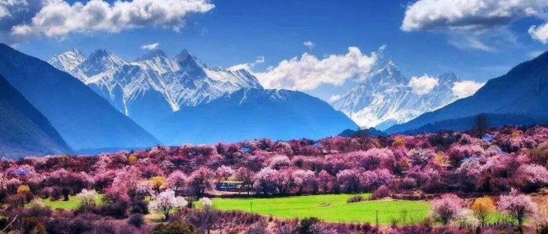 三月想约你一起去西藏看桃花