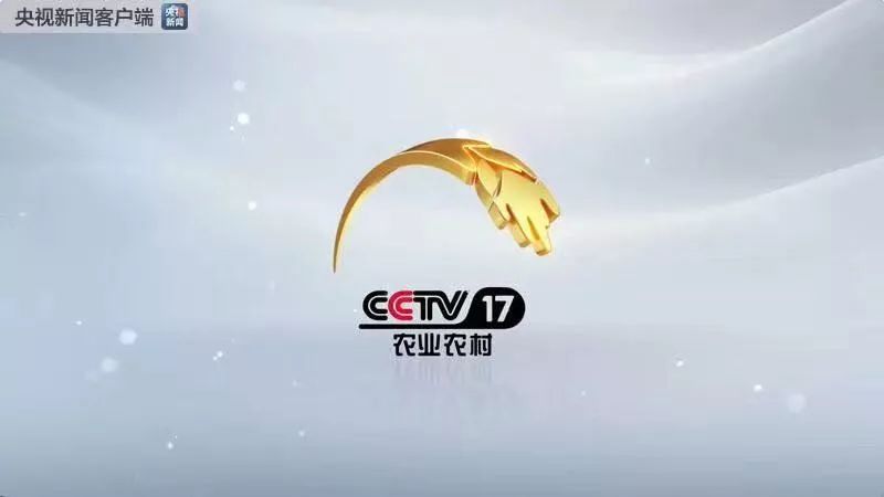 农业频道致富经_致富频道农业频道直播_cctv7农业节目致富经