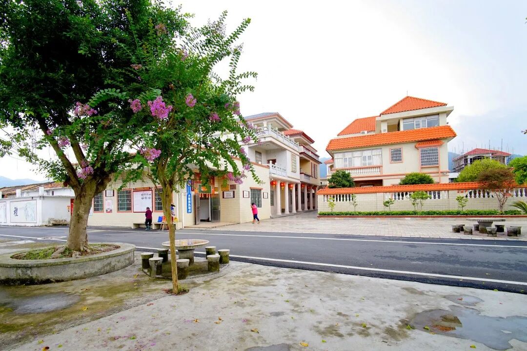 喜讯!全国爱卫会正式命名四会市地豆镇为国家卫生镇