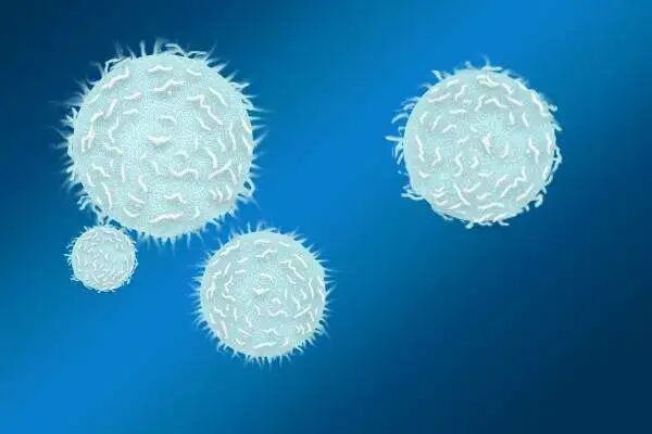 poct什么意思三大常规检查之一的尿常规，检查单你看的懂吗？了解一下每个项目代表的意思吧！_https://www.jmylbn.com_新闻资讯_第3张