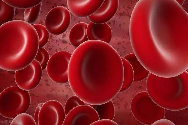 poct什么意思三大常规检查之一的尿常规，检查单你看的懂吗？了解一下每个项目代表的意思吧！_https://www.jmylbn.com_新闻资讯_第5张