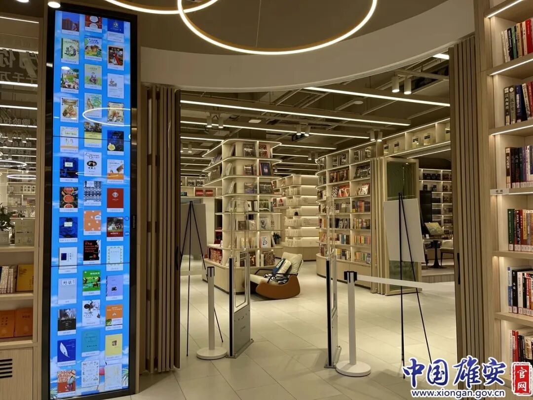 11.webp