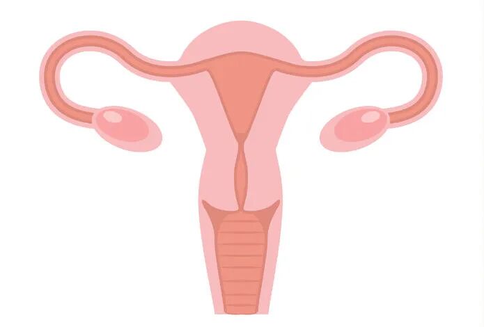 试管知识 | 悄悄吞噬你生育力的"怪物"！