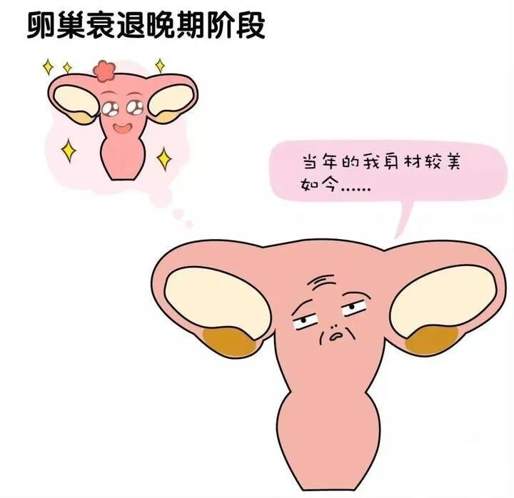 AMH值低于这个范围，提示你可能“卵巢早衰”了！