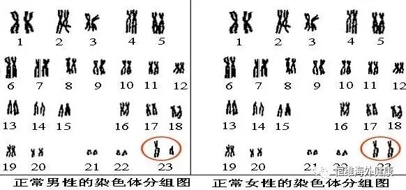 盘点试管婴儿助孕前，必做检查项目+注意事项！