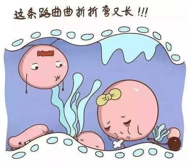 导致试管不着床的8个原因你中了吗?