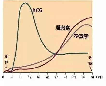 请注意！孕激素保胎真的不是剂量越大越好