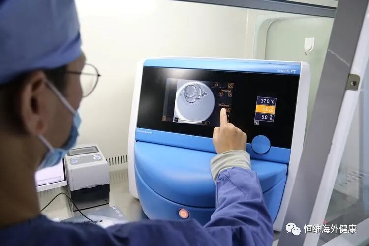 鲜胚VS冻胚   试管婴儿胚胎移植选哪个好？