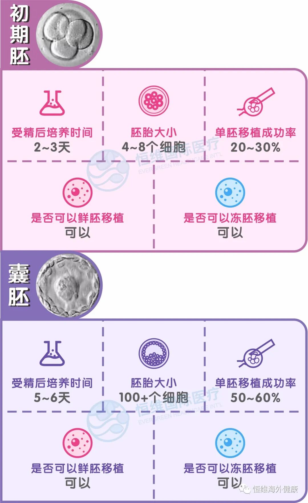 试管科普 | 做试管婴儿，要多少颗胚胎才能养成一颗囊胚？