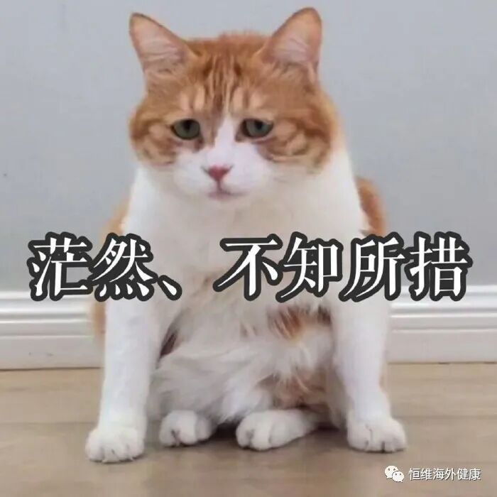 试管科普 | 做试管婴儿，要多少颗胚胎才能养成一颗囊胚？