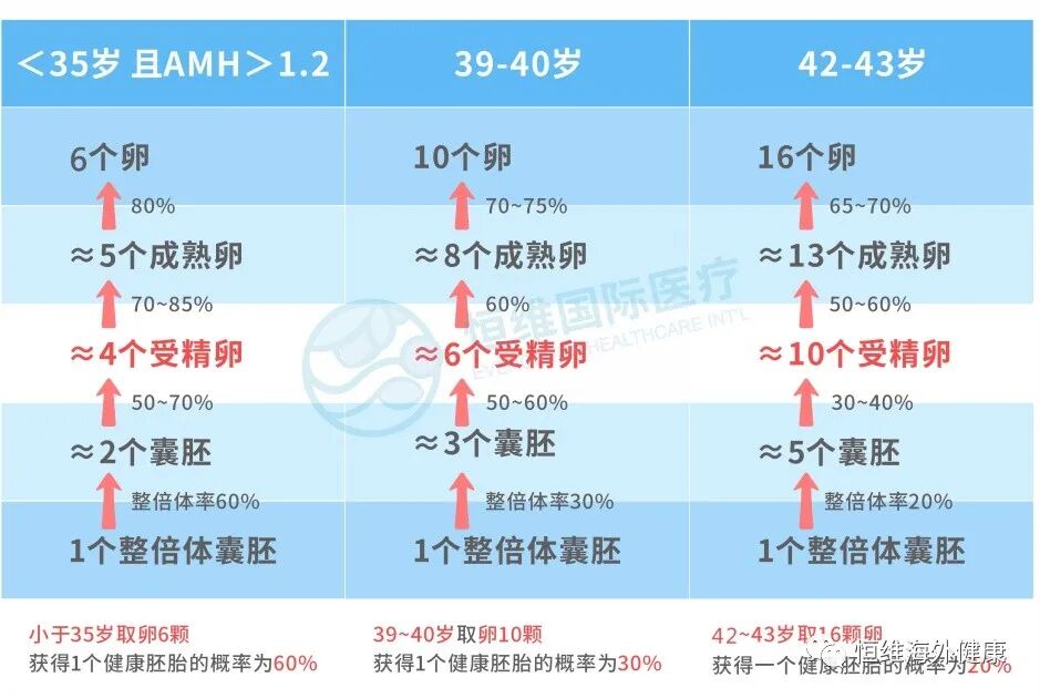 试管科普 | 做试管婴儿，要多少颗胚胎才能养成一颗囊胚？