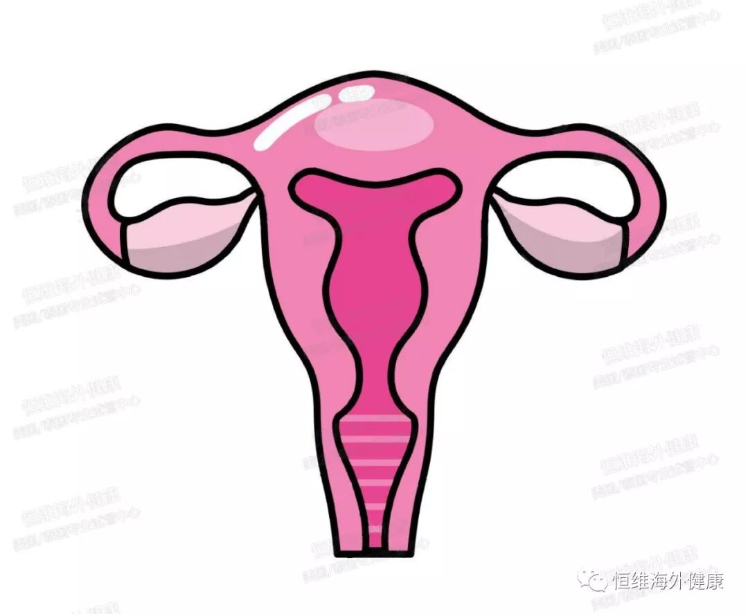 免疫系统疾病和自身免疫疾病可导致男性和女性不育