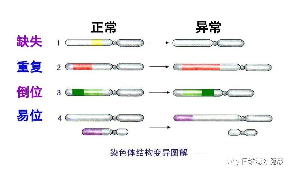 反复移植失败与试管之间的"爱恨纠缠"！