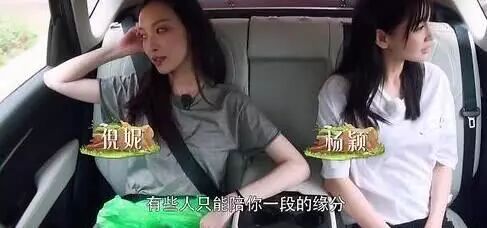 井柏然和倪妮的合约，是从什么时候开始生效的？