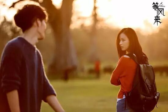 井柏然和倪妮的合约，是从什么时候开始生效的？