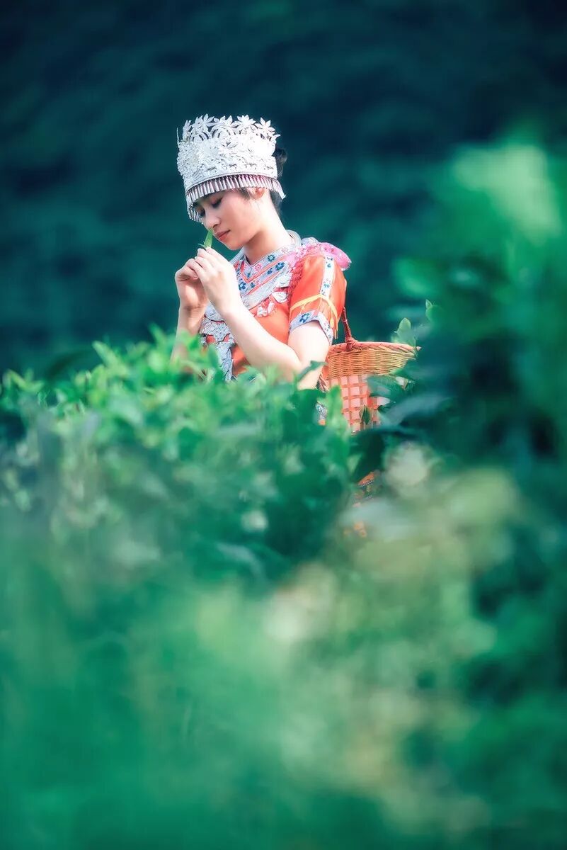 音乐分享 |《指间香》婉婉转转的音律，闻得到氤氲的茶香