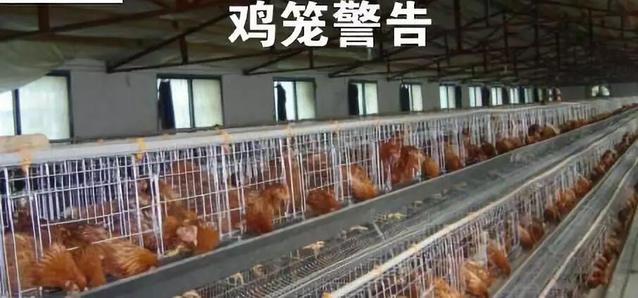 数字翻译英文大写_大写翻译器_港币金额英文大写翻译