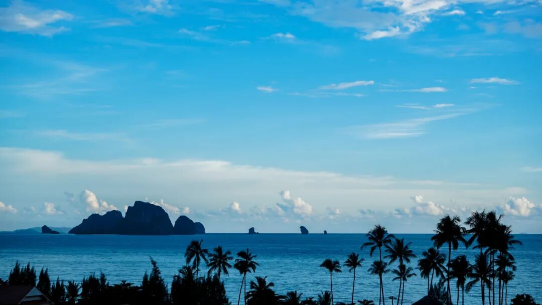 由经验指导运营向数据指导运营转变