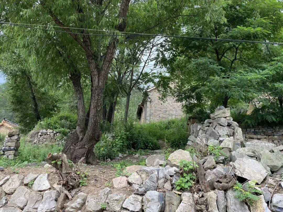 政府扶持农村创业项目排行榜_国家扶持创业项目新农村旅游_农村什么项目国家扶持