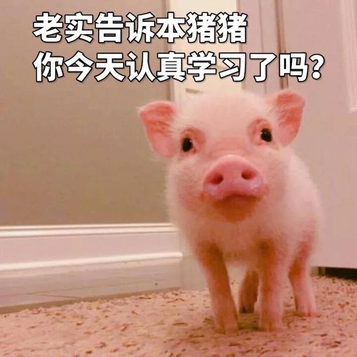 建筑退线 答疑100问|067建筑外墙能压着建筑红线吗？