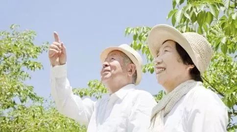 带父母出门旅游要注意什么 中老年人旅游注意事项