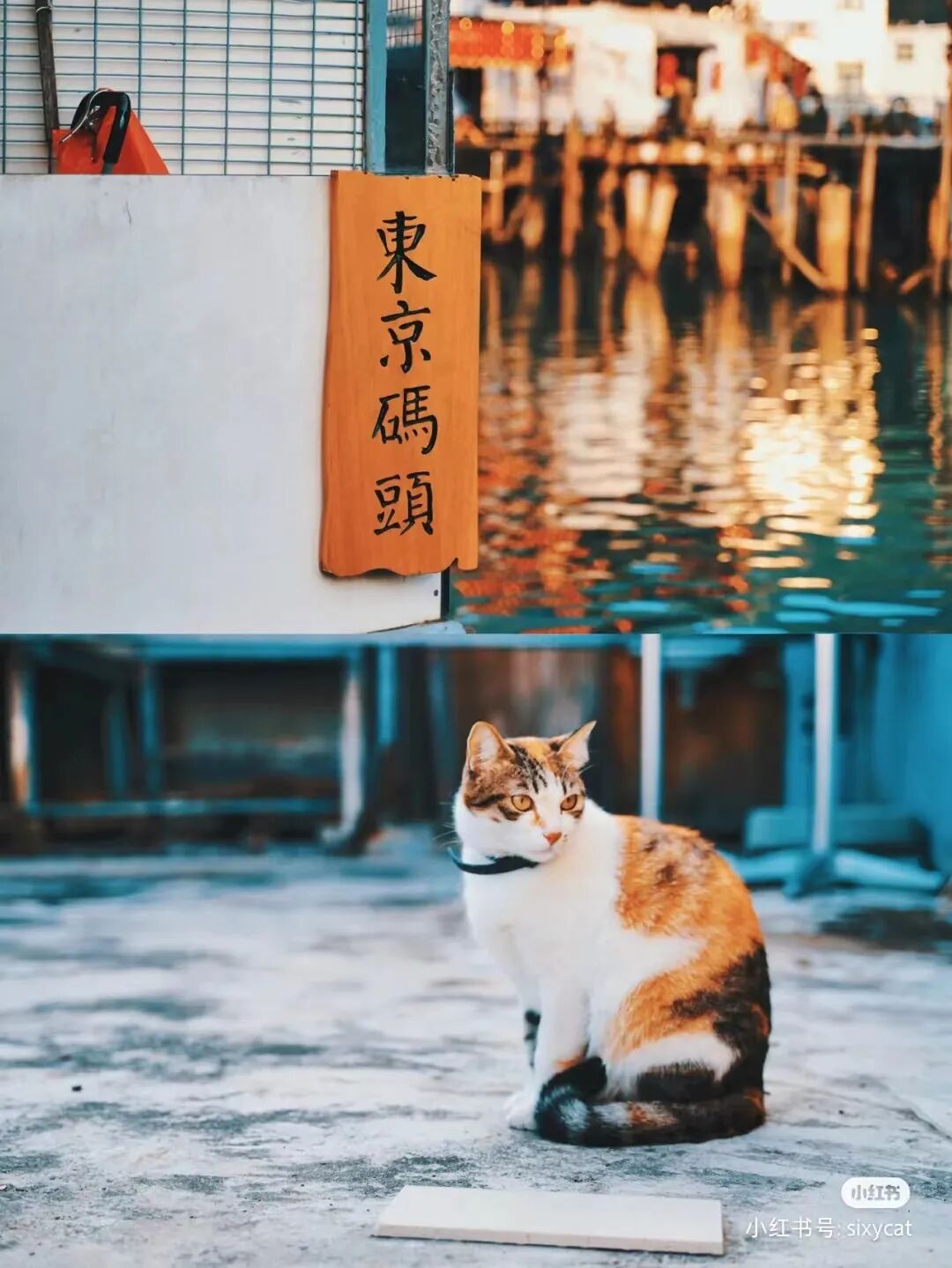 比东京绚烂，烟火气不输曼谷，这座好逛好吃的国际化大都市，值得打卡100次！