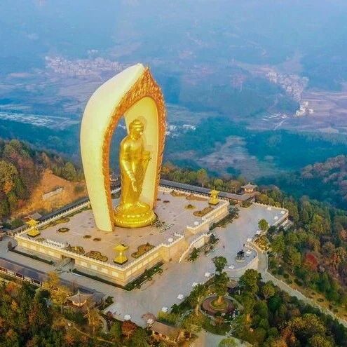 内容图片