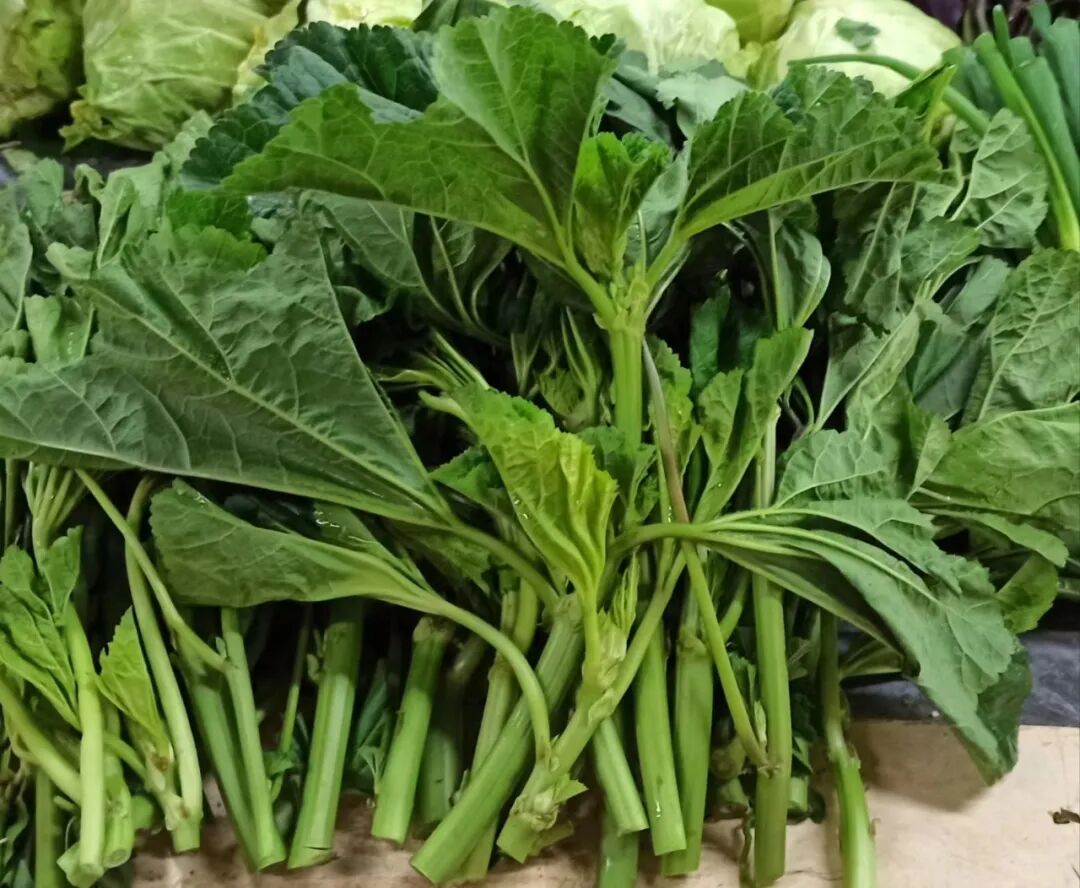 四川小孩的"冬季限定"绿叶菜,你认识几个?