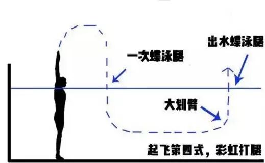 游泳教练培训班