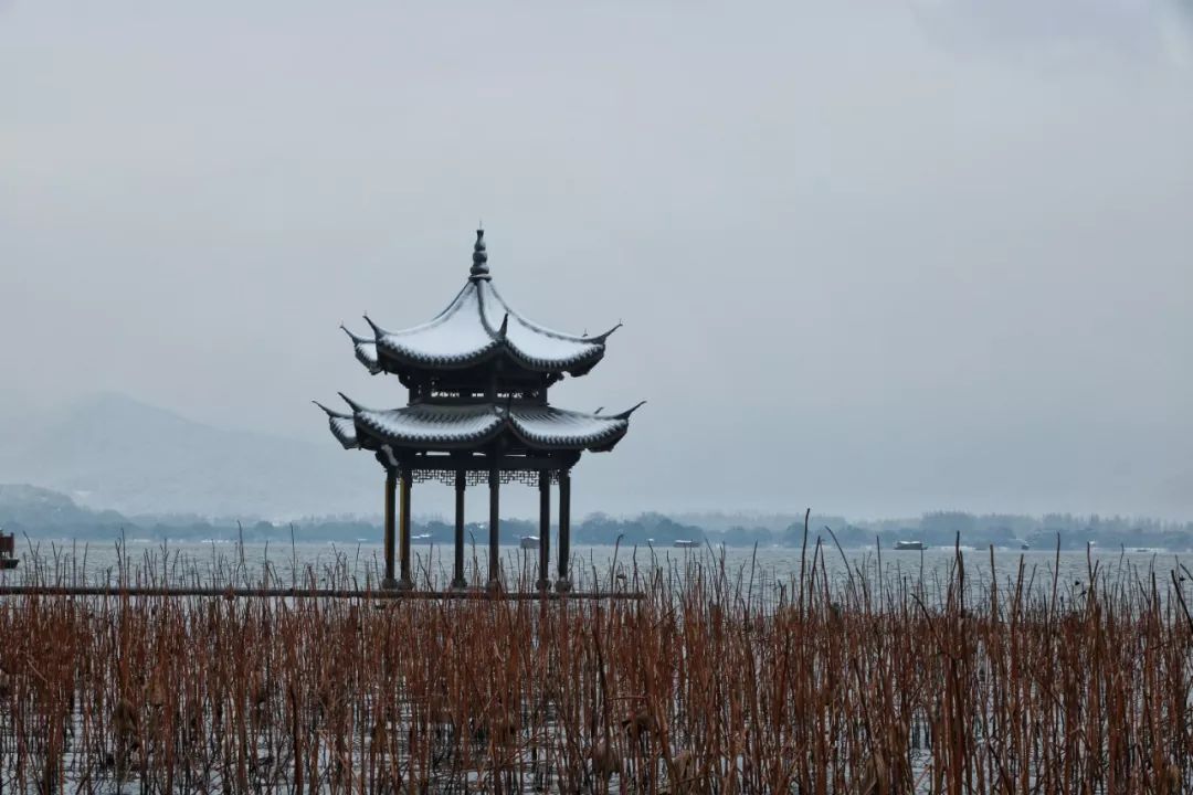 愛了！步行5min即達西湖，睡進杭城繁華商圈，百年露臺承包四時美景，超越五星級的入住體驗 旅遊 第11張