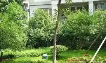 弱电智能化综合布线施工常见问题及对策的图12