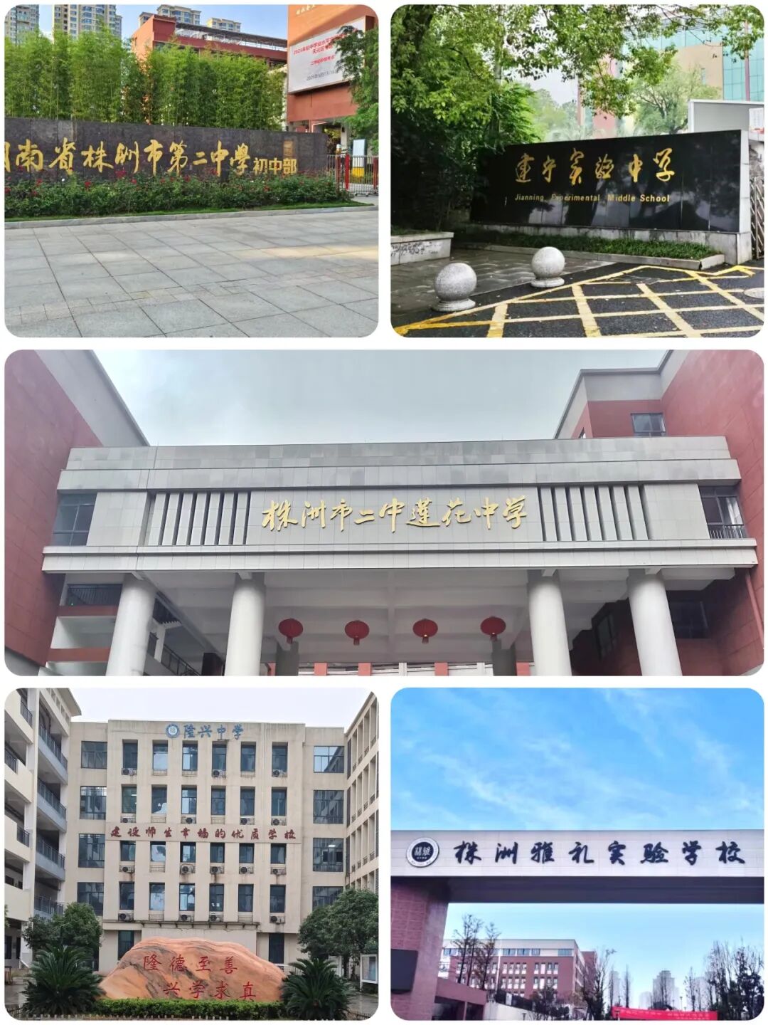 考试季 | 长鹏助力湖南省株洲市初中生物实验操作考试圆满收官