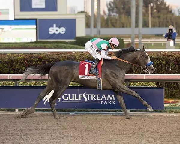 天妒英才 两届世界马王 鸠占鹊巢 辞世 1赛马网 第一赛马网