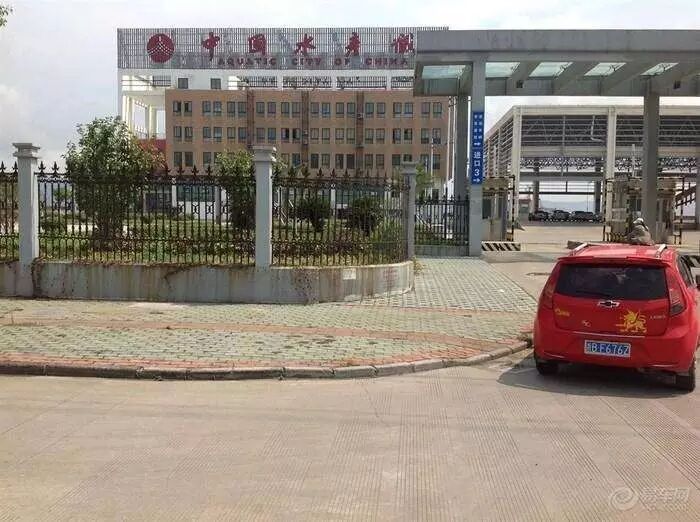 我们在,石浦·中国水产城——招商调研行记(水产篇)