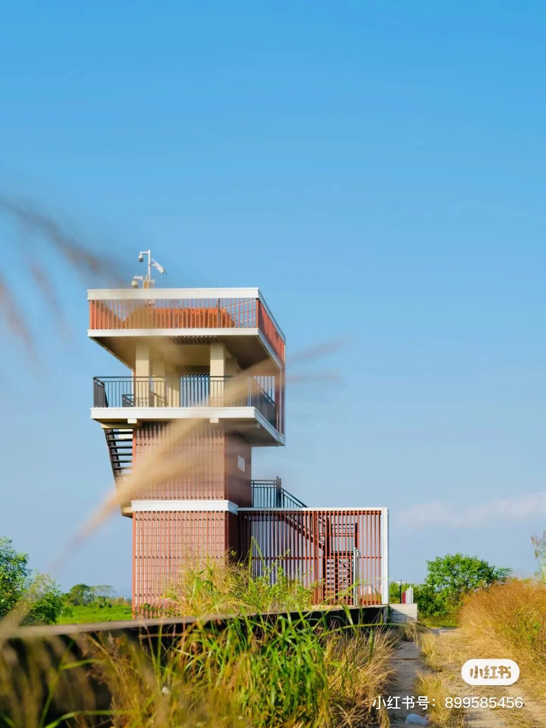 图|小红书@钦州阿旭0468越州天湖景区行走在茂密的山林,静看绿意