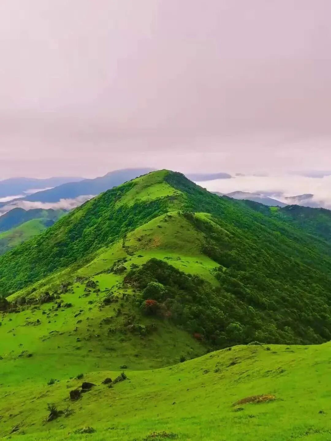 石祖禅茶园浦北石祖禅茶园是广西五星级乡村旅游区,位于浦北县北通镇