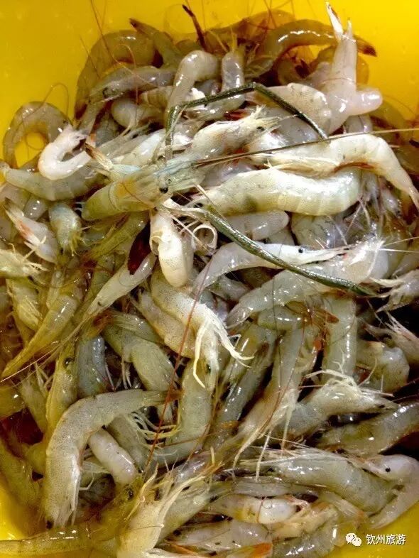 繁美丰盛的四月,钦州这八种当季海鲜最美味!