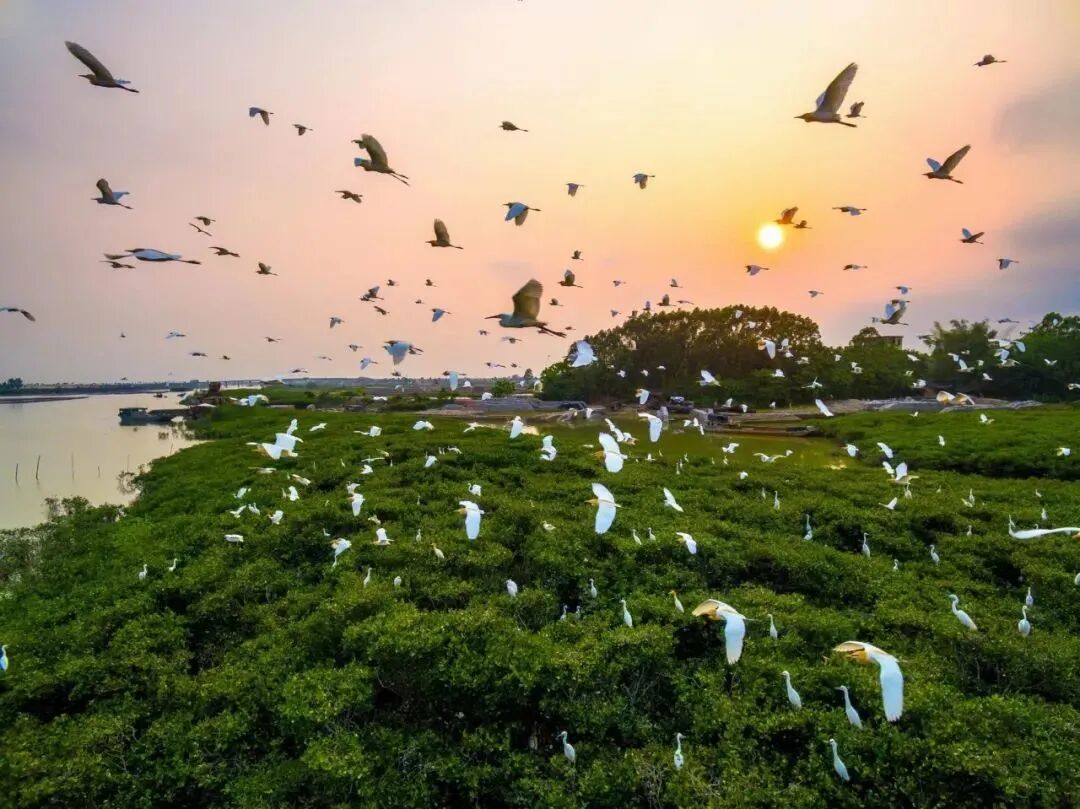 看网友特种兵之极限24小时打卡钦州