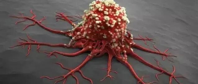 去年超74万人因它患癌，居然还有人用它来养生！劝你不碰为好