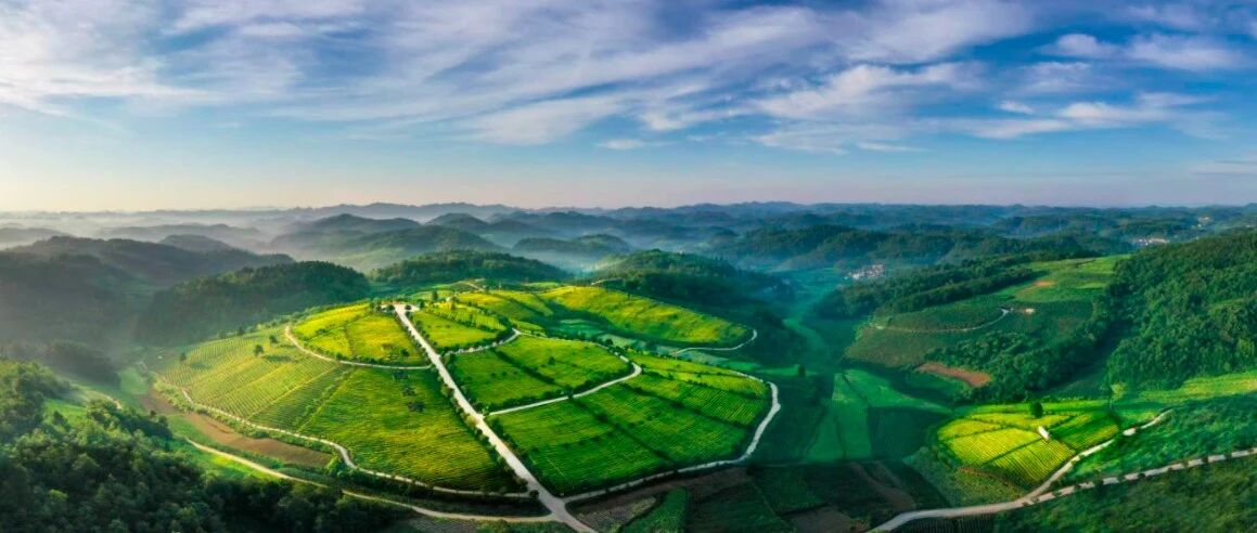 想家的你，快来看看祖国的大好河山！