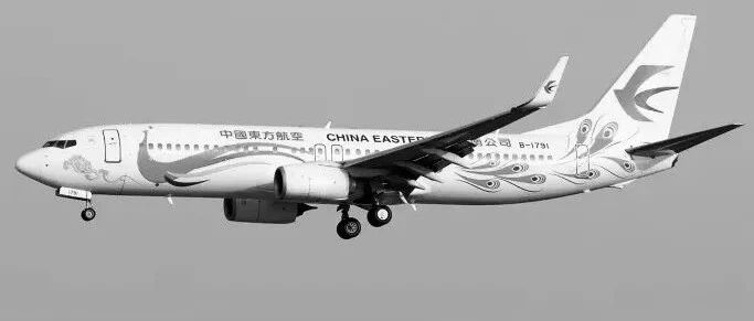 英国首相发推: 为MU5735祈祷! 英媒:"中国航空公司拥有良好安全记录"