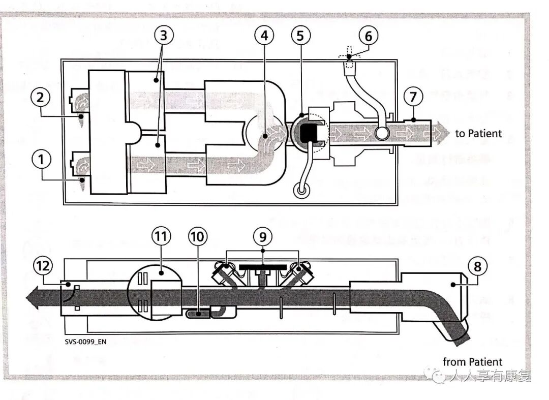 为什么成人呼吸机用容控菜鸟康复医师学习呼吸机_https://www.jmylbn.com_新闻资讯_第4张