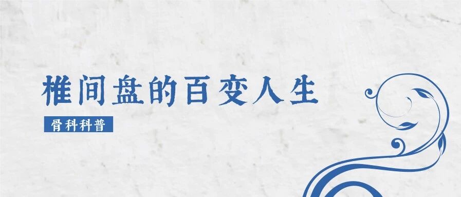 椎间盘的百变人生